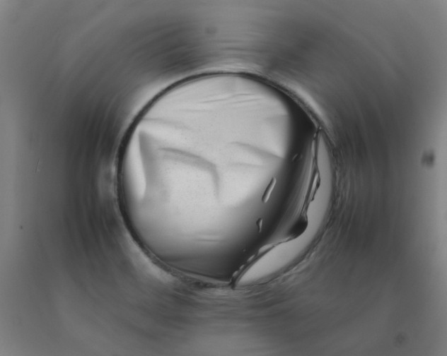 X0000092231468200709281054