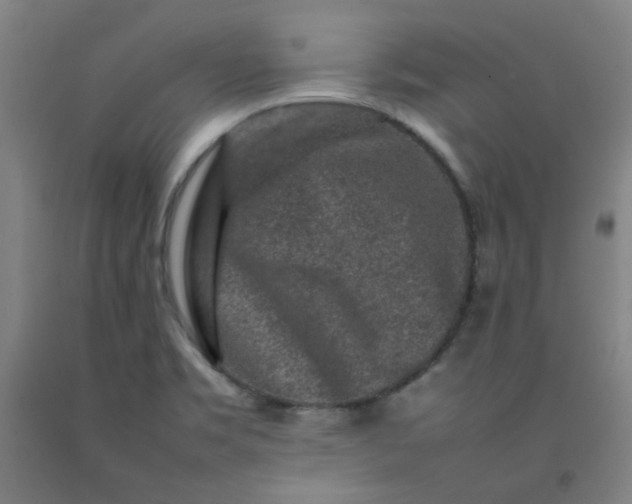 X0000092231469200709281054
