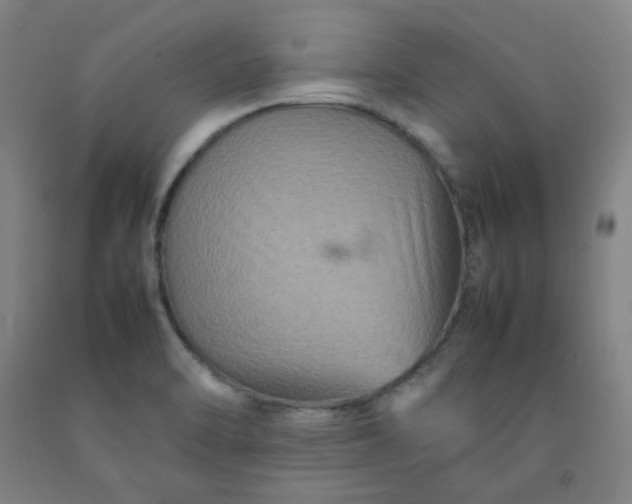 X0000092231470200709281054