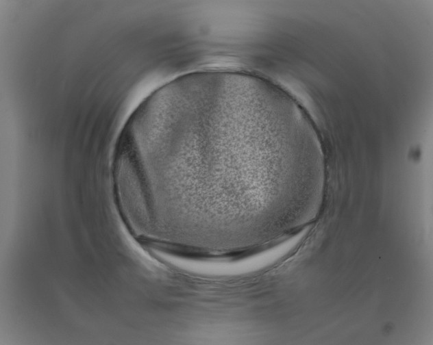 X0000092231475200709281054