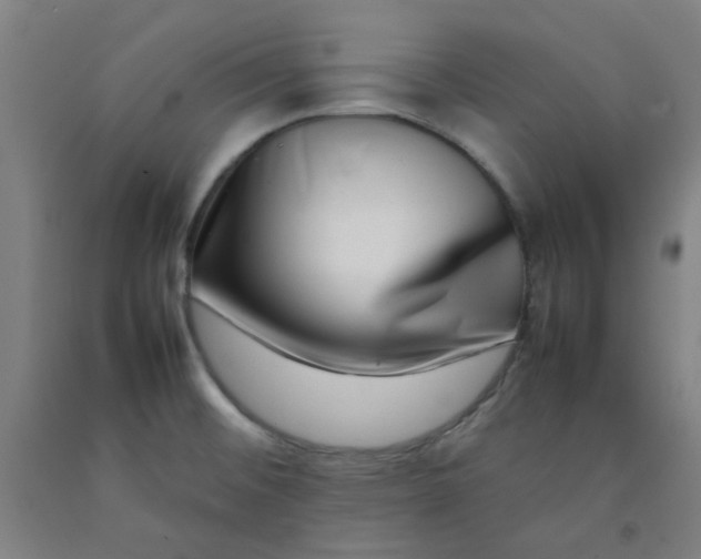 X0000092231476200709281054