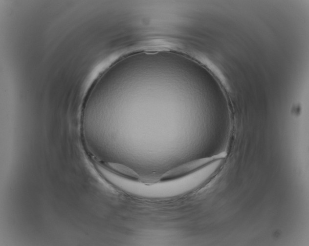 X0000092231477200709281054