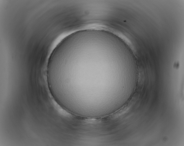 X0000092231478200709281054