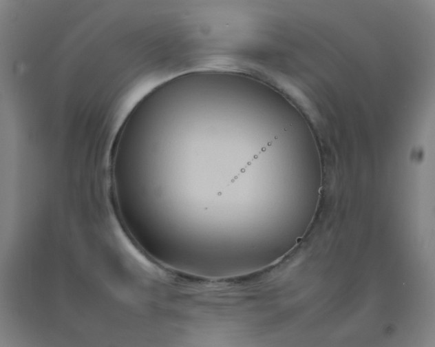 X0000092231479200709281054