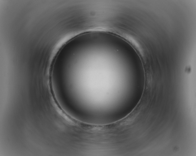 X0000092231480200709281054