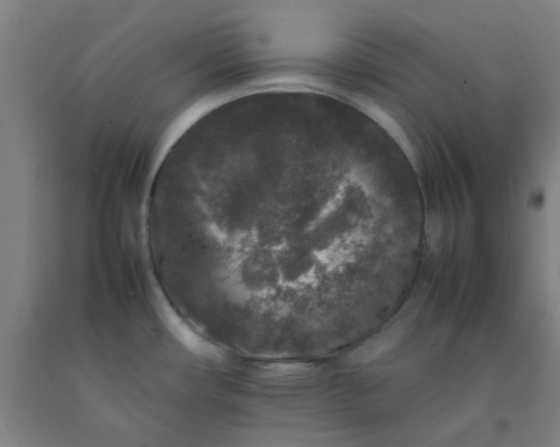 X0000092231482200709281054