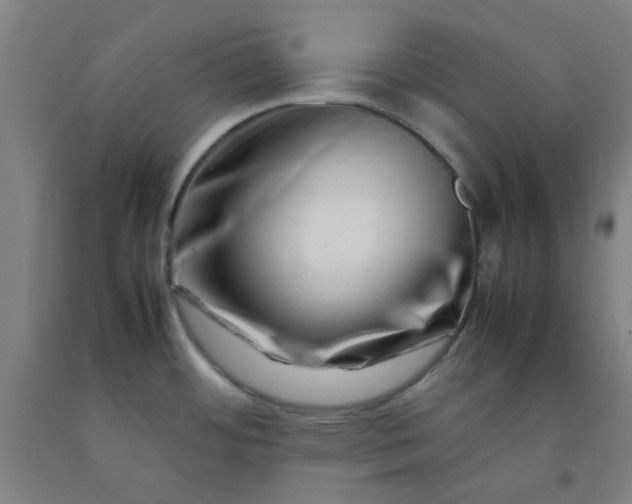 X0000092231484200709281054
