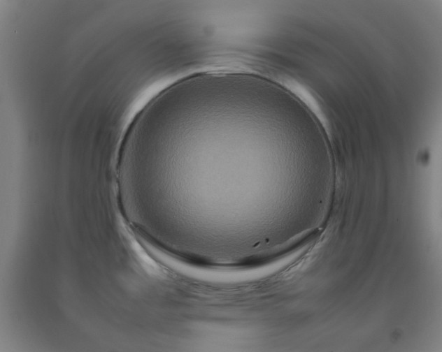 X0000092231485200709281054