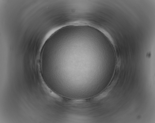 X0000092231486200709281054