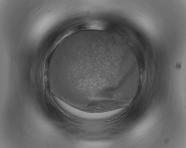 X0000092231487200709281054