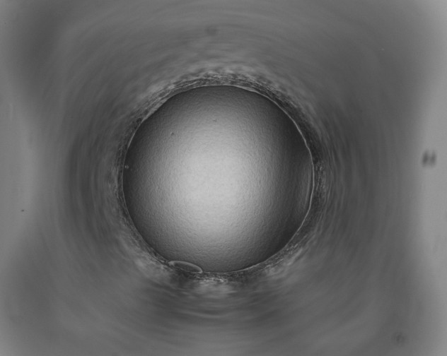 X0000092231489200709281053