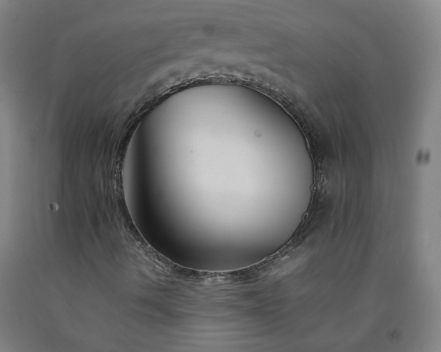 X0000092231490200709281053