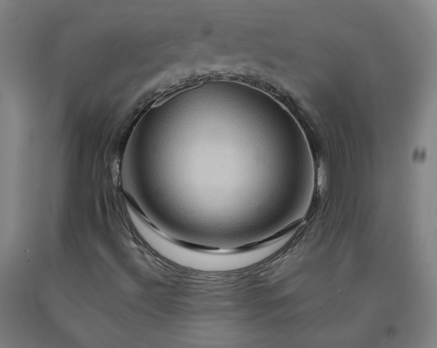 X0000092231492200709281053