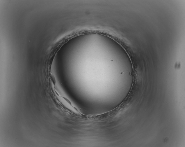 X0000092231494200709281053
