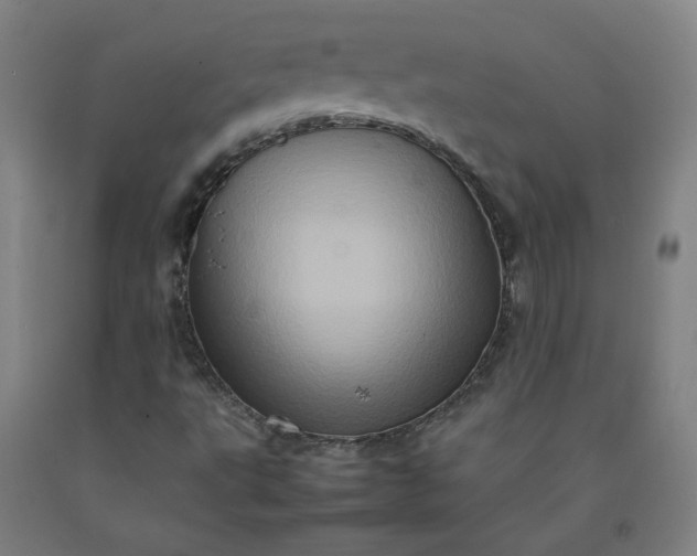 X0000092231495200709281053