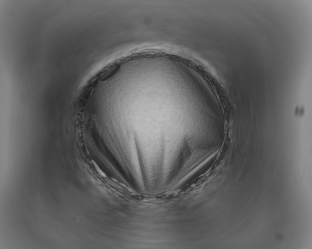 X0000092231496200709281053