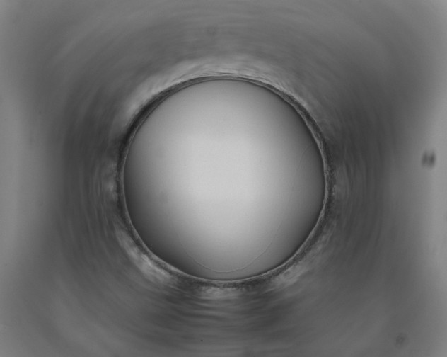 X0000092231499200709281053