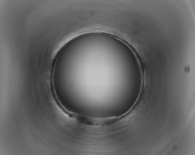 X0000092231500200709281053