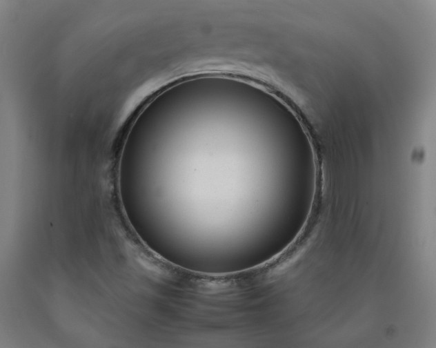 X0000092231501200709281053