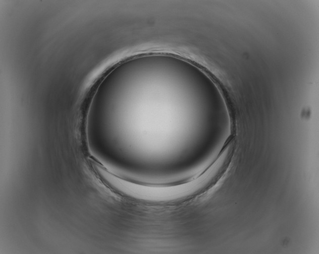 X0000092231502200709281053