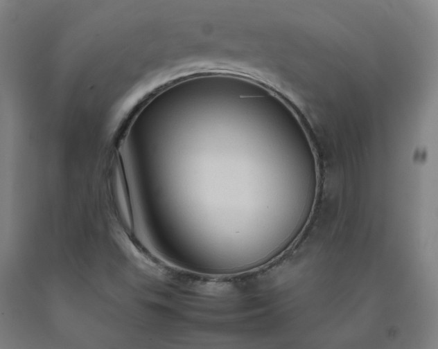 X0000092231503200709281053