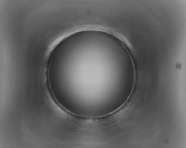 X0000092231504200709281053