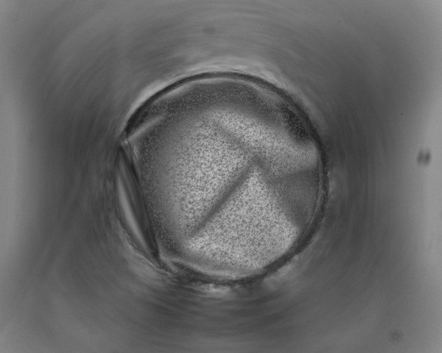 X0000092231505200709281053