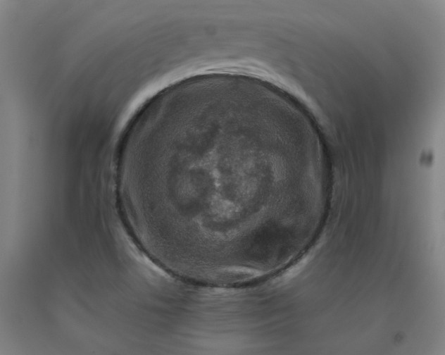 X0000092231506200709281053