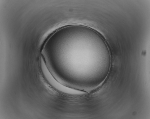 X0000092231507200709281053