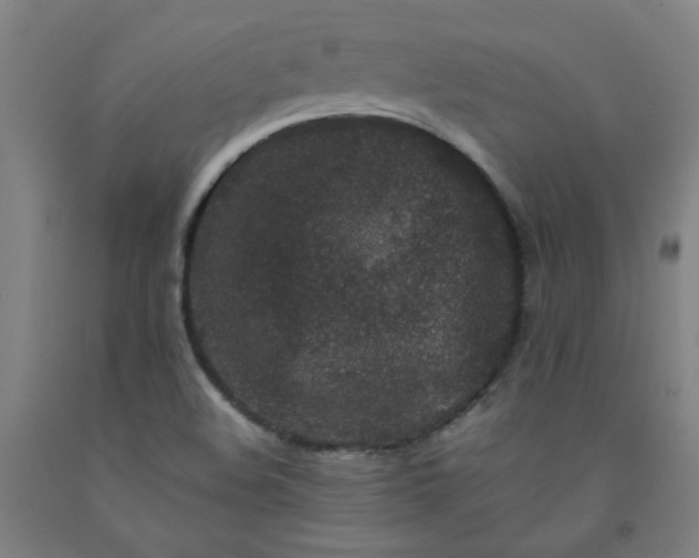 X0000092231508200709281053