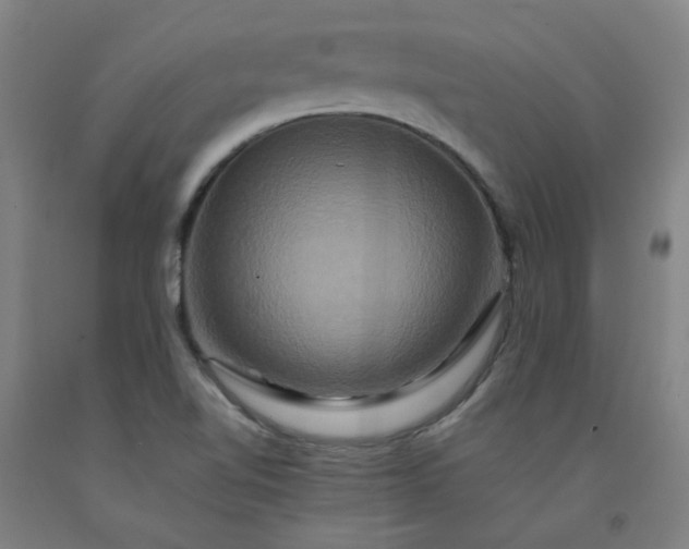 X0000092231510200709281053