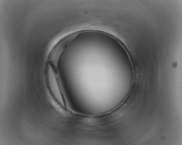 X0000092231511200709281053