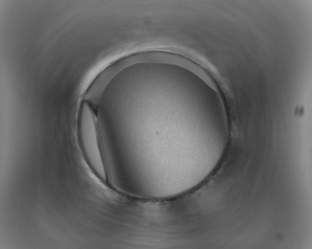 X0000092231512200709281053