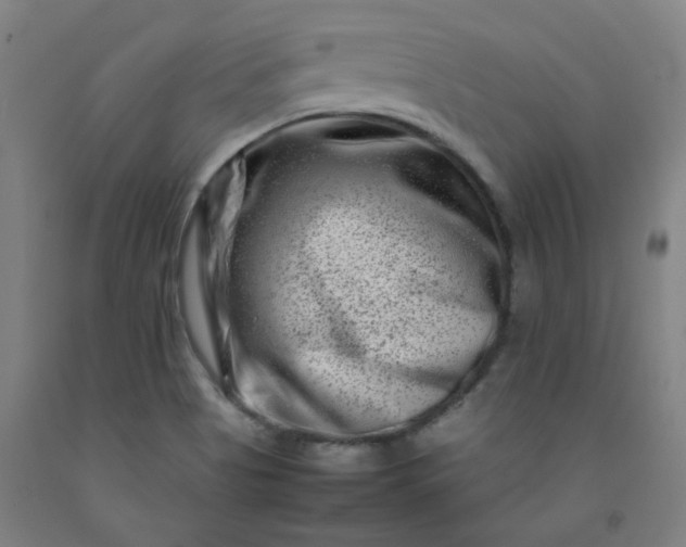 X0000092231513200709281053