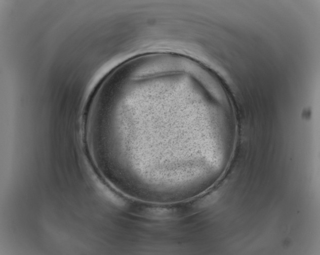 X0000092231517200709281053