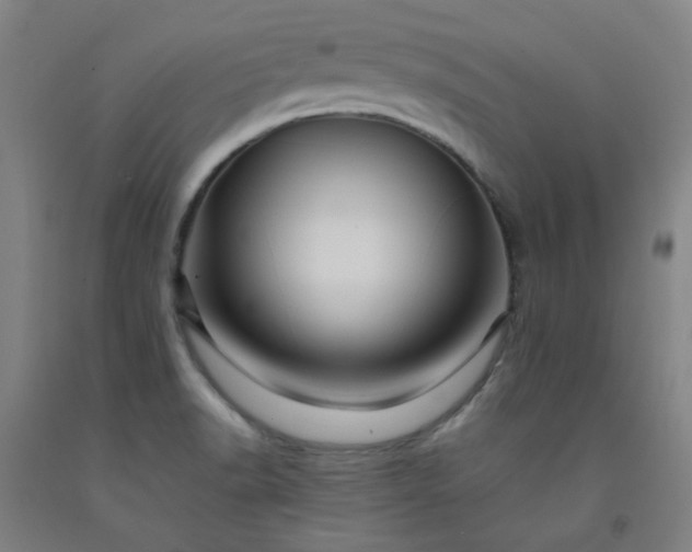 X0000092231518200709281054