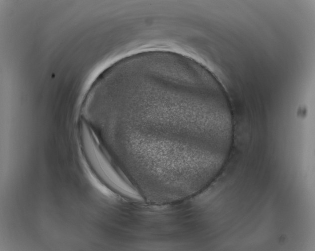 X0000092231519200709281054