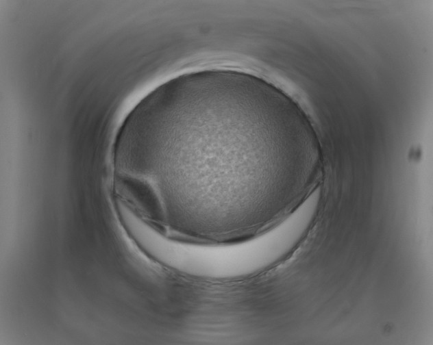X0000092231520200709281054