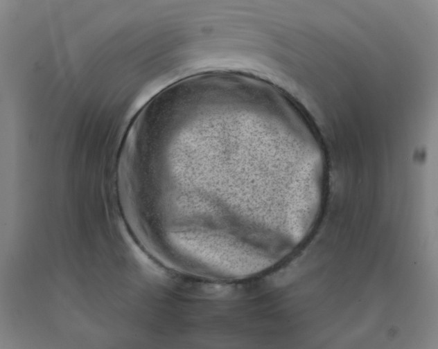X0000092231521200709281054