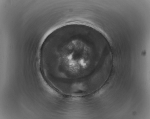 X0000092231522200709281054