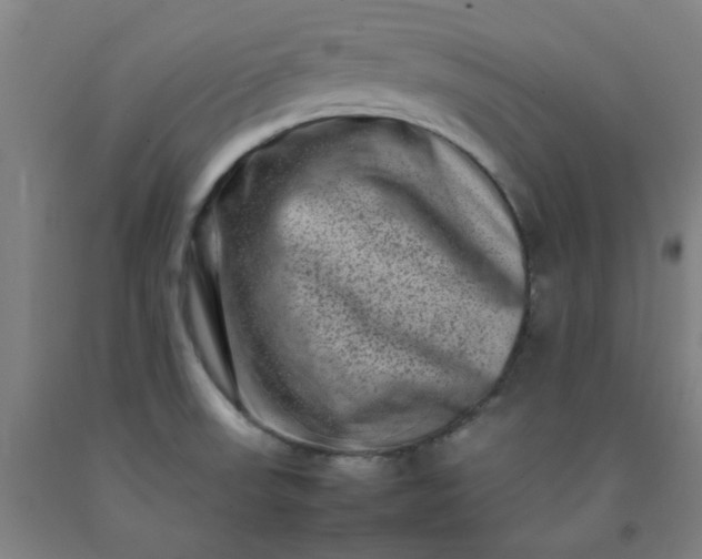 X0000092231523200709281054