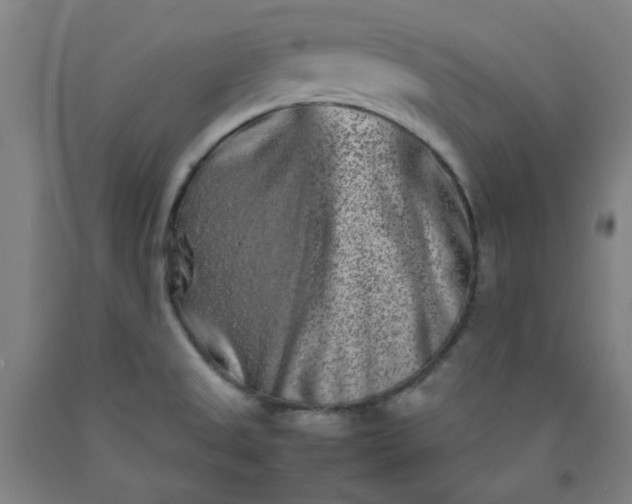 X0000092231525200709281054