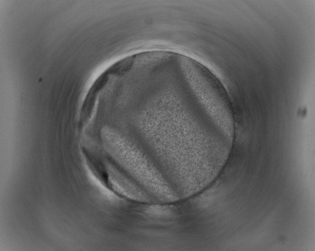 X0000092231527200709281054