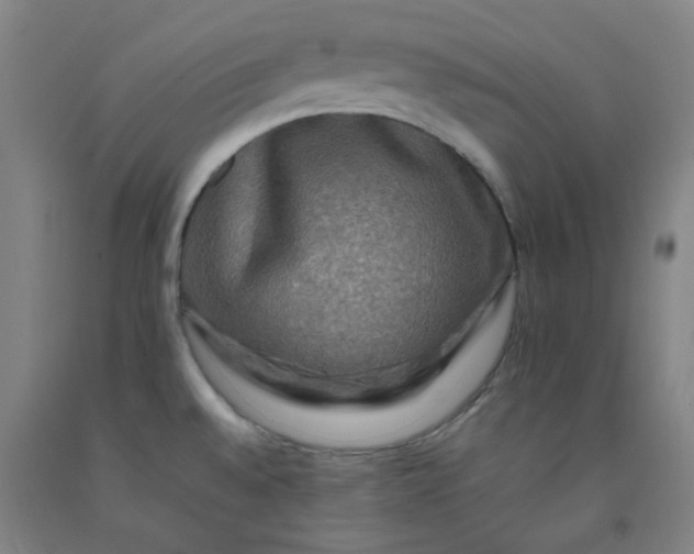 X0000092231528200709281054