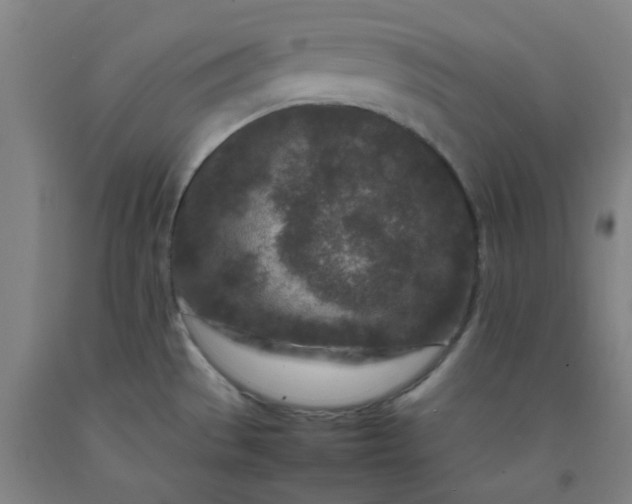 X0000092231529200709281054