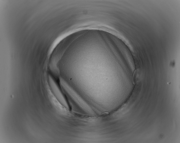 X0000092231530200709281054