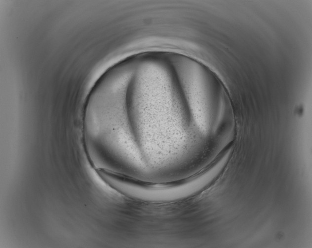 X0000092231531200709281054