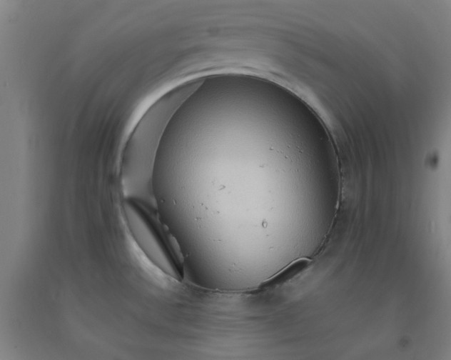 X0000092231532200709281054