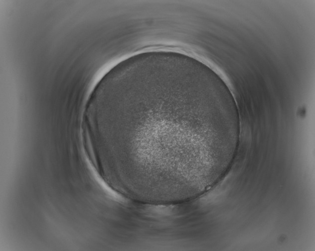X0000092231533200709281054