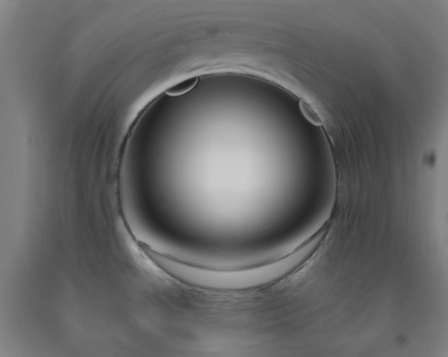 X0000092231534200709281054